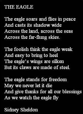 EagleVerse.jpg